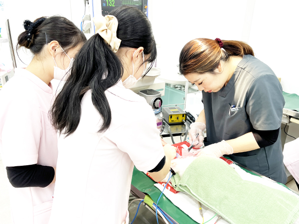 ☆歯石除去手術☆